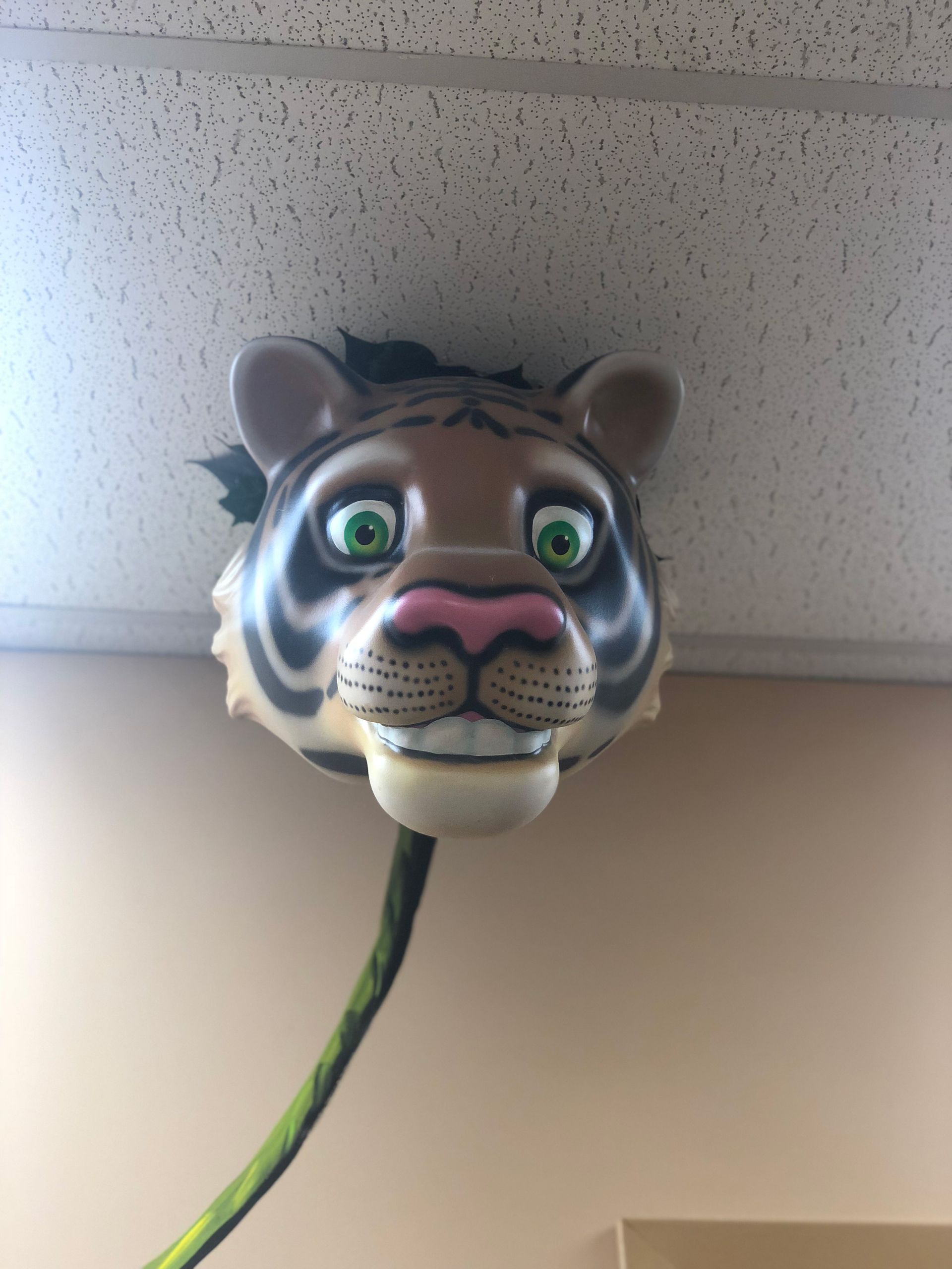 Kiddsmiles Pediatric Dentistry Treatments, Floral Park, white plains, westchester, manhasset, merrick, holbrook, syosset, port jefferson station, north babylon, nassau county, suffolk county