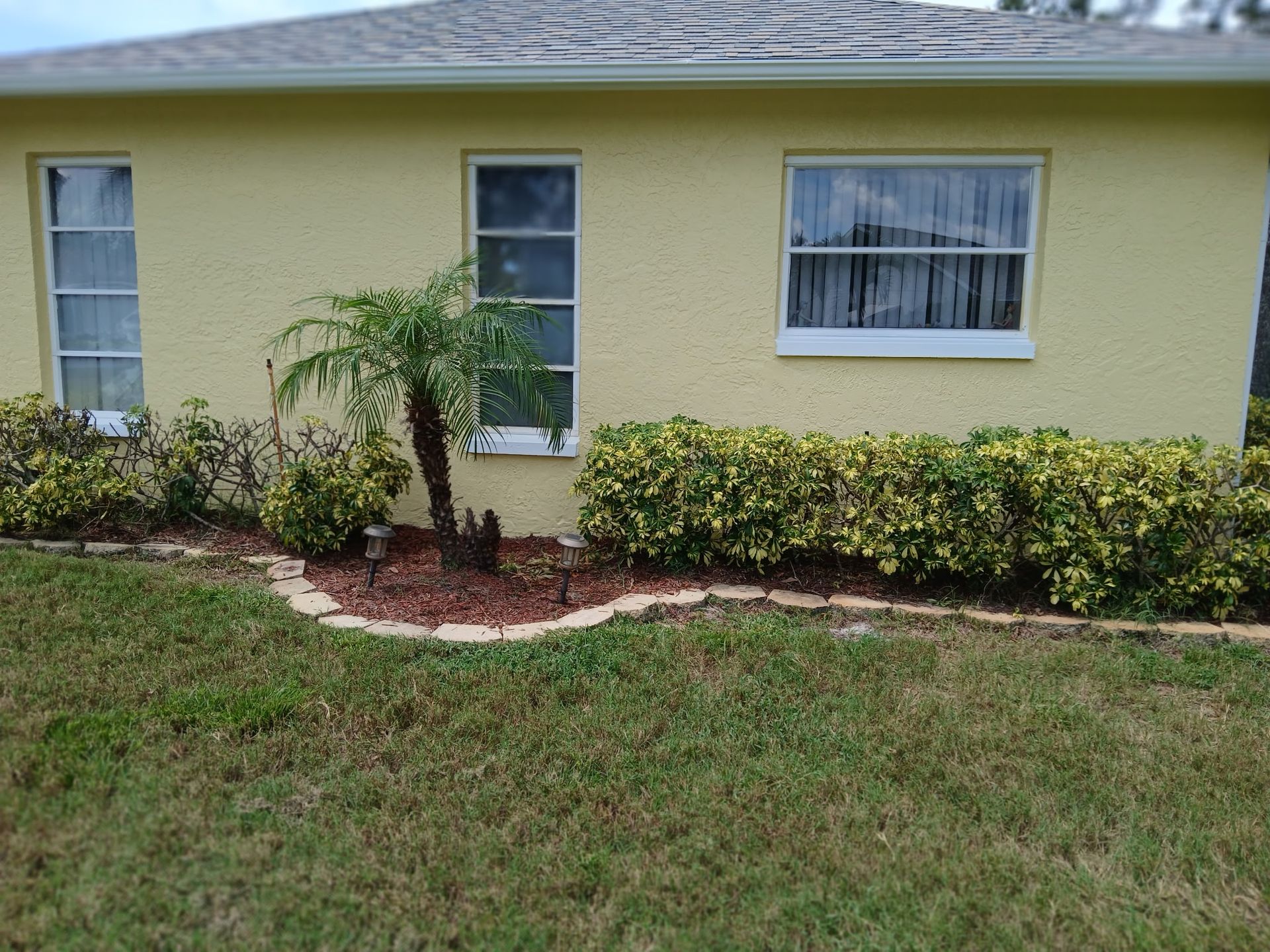 Yellow house exterior with two windows, small palm tree, shrubs, and a grassy lawn in front.