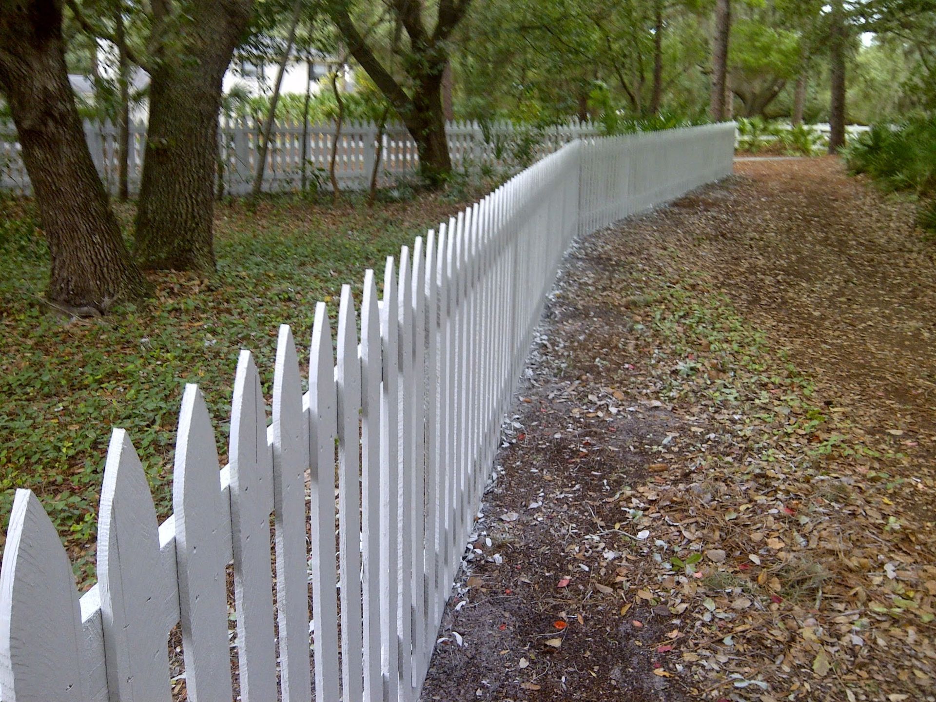White picket fence curving along a wooded yard beside a leaf-covered path