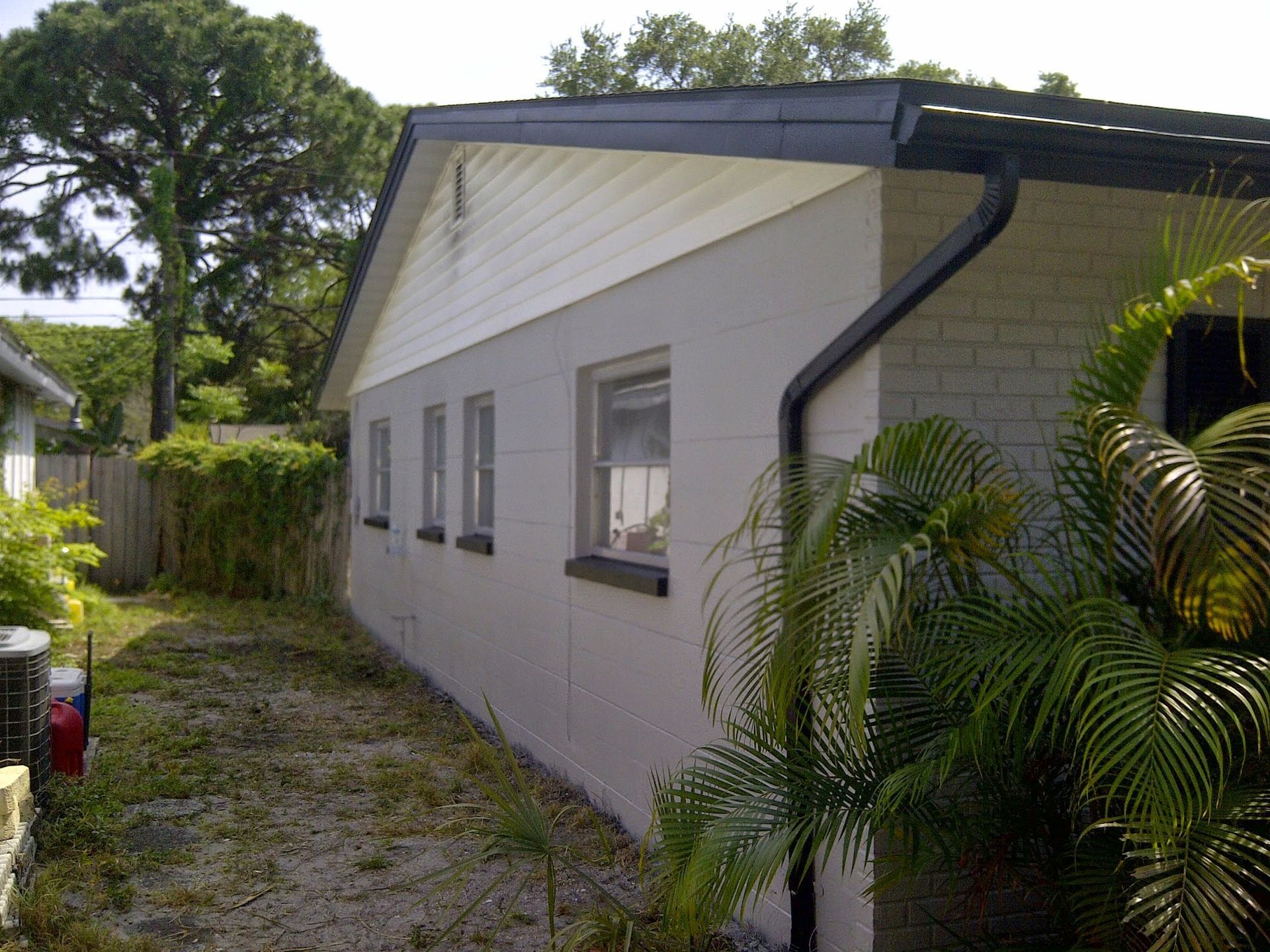 Side view of a small white house with windows, a black roof and palm plants along the wall.