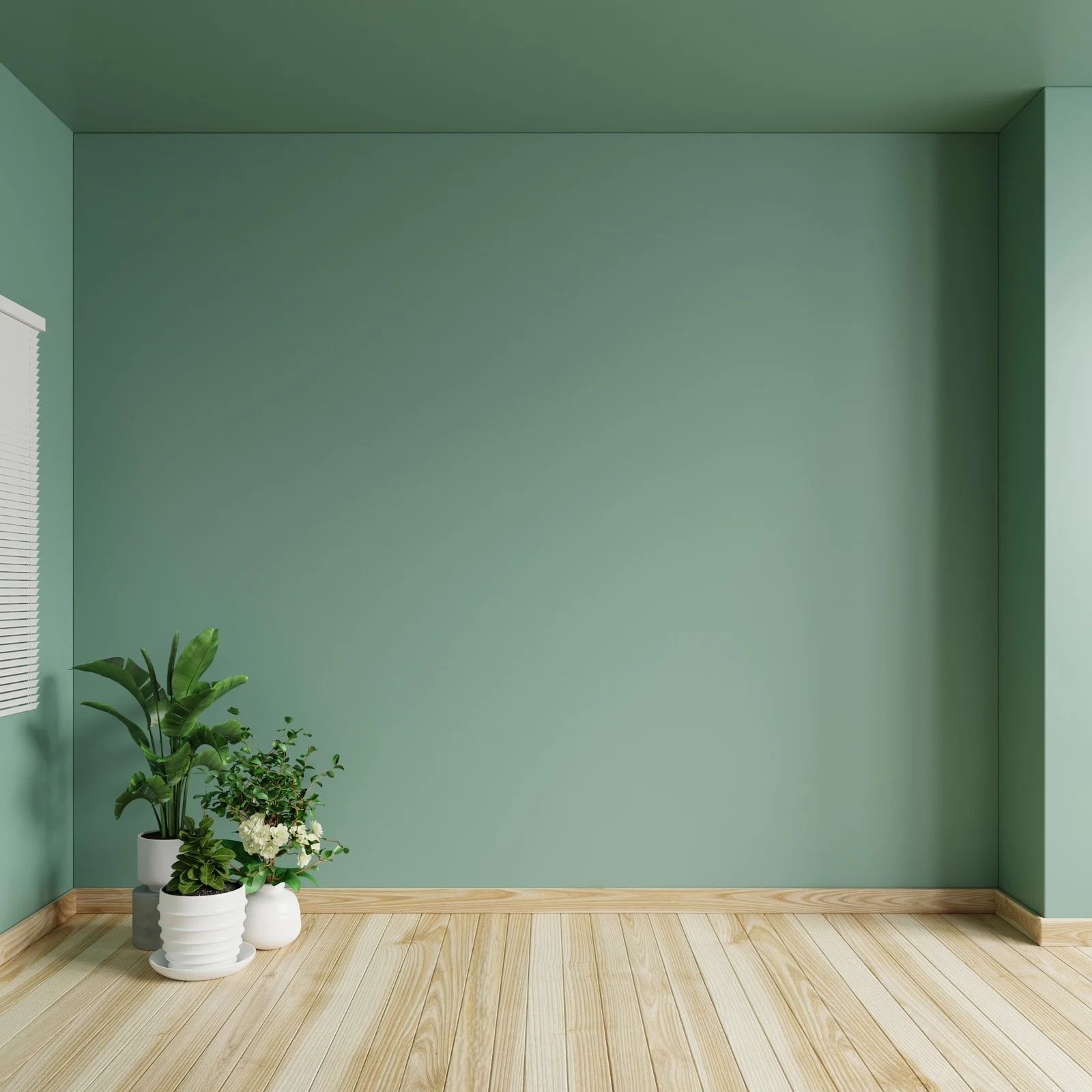 Empty mint-green room with light wood floors and a potted plant in the corner