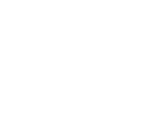 A white background with a few lines on it