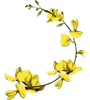 icona logo 
