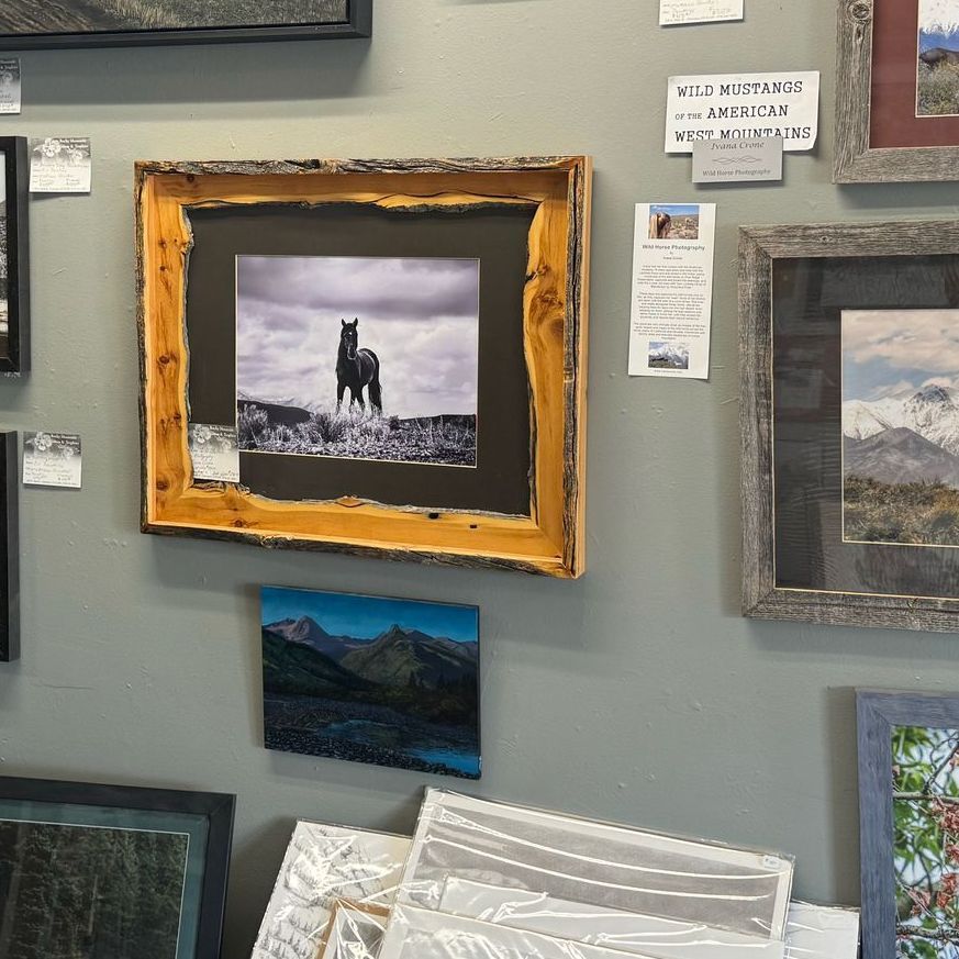 A framed picture of a horse is hanging on a wall