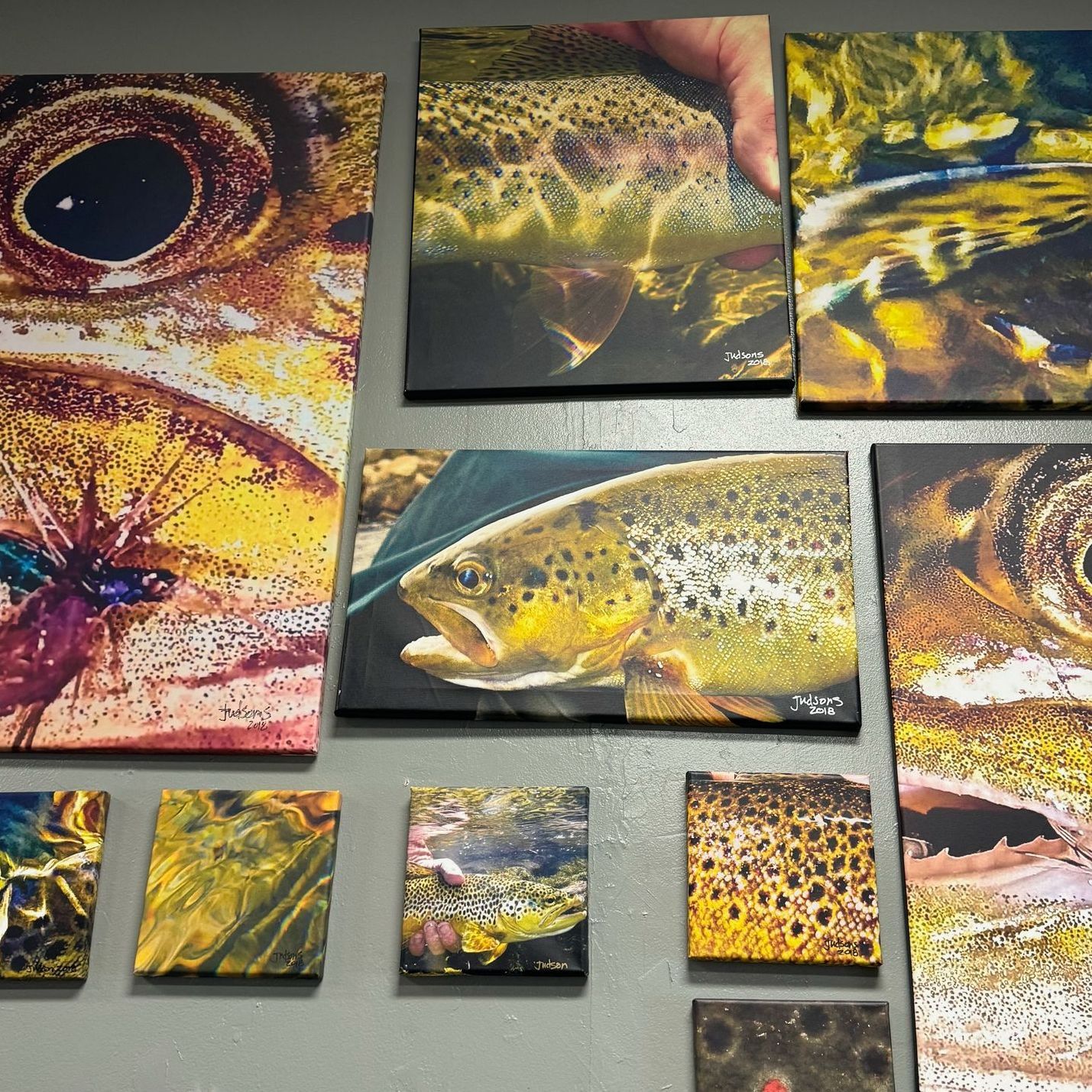 Several paintings of fish are hanging on a wall