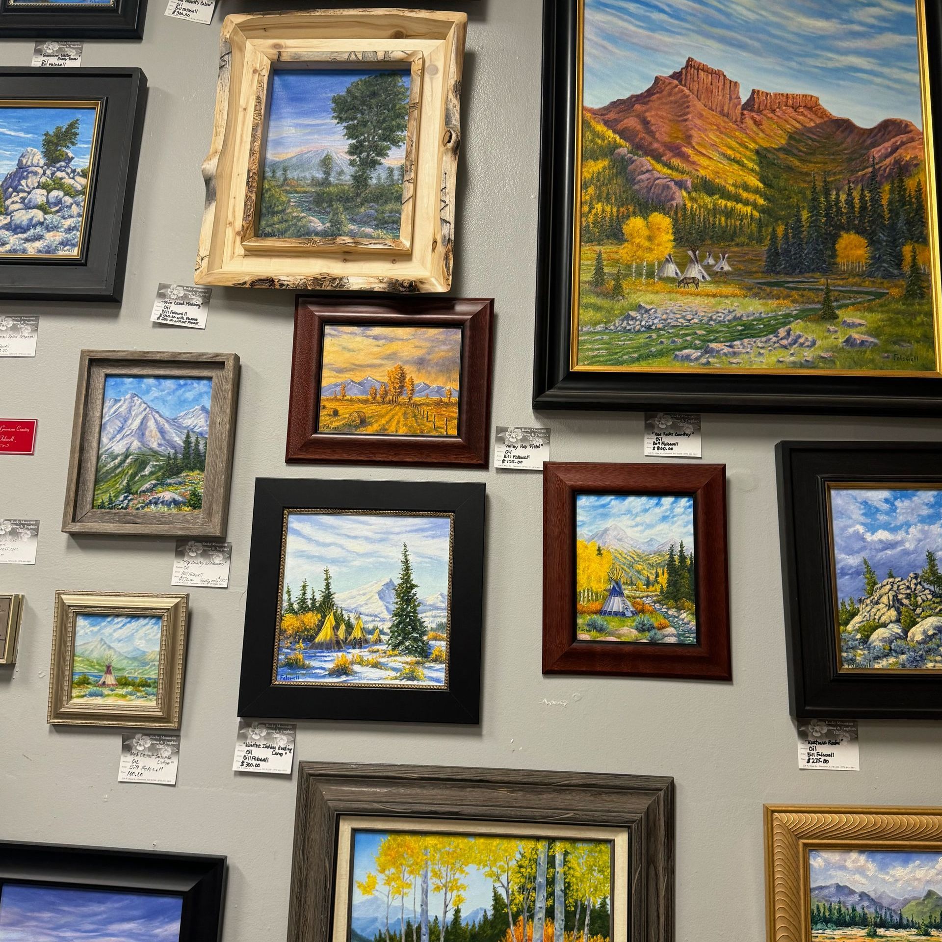 A wall full of framed paintings including one with a mountain in the background