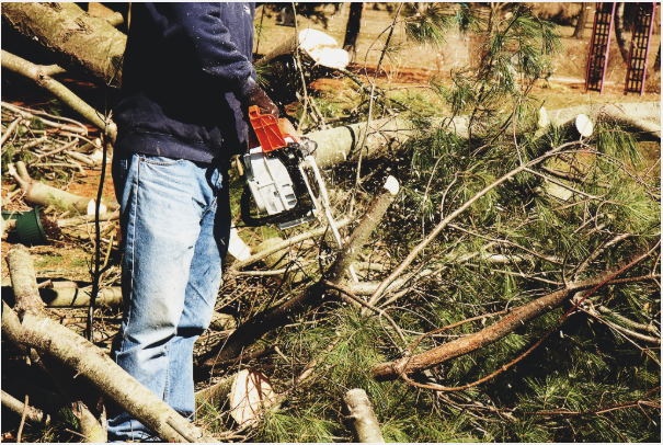 A man is cutting a tree with a chainsaw
