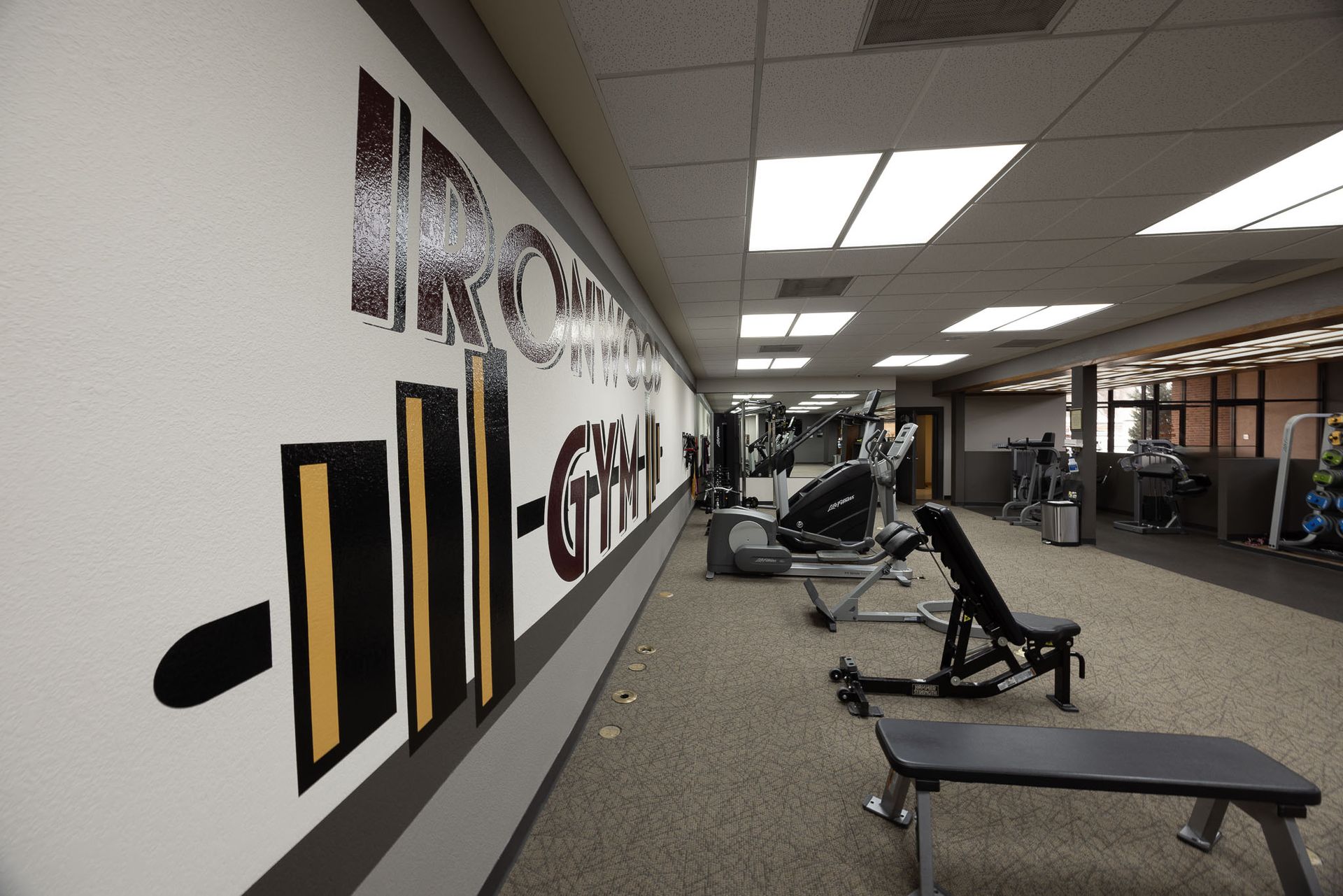Gym interior with weight benches, machines, and wall mural in a carpeted workout area