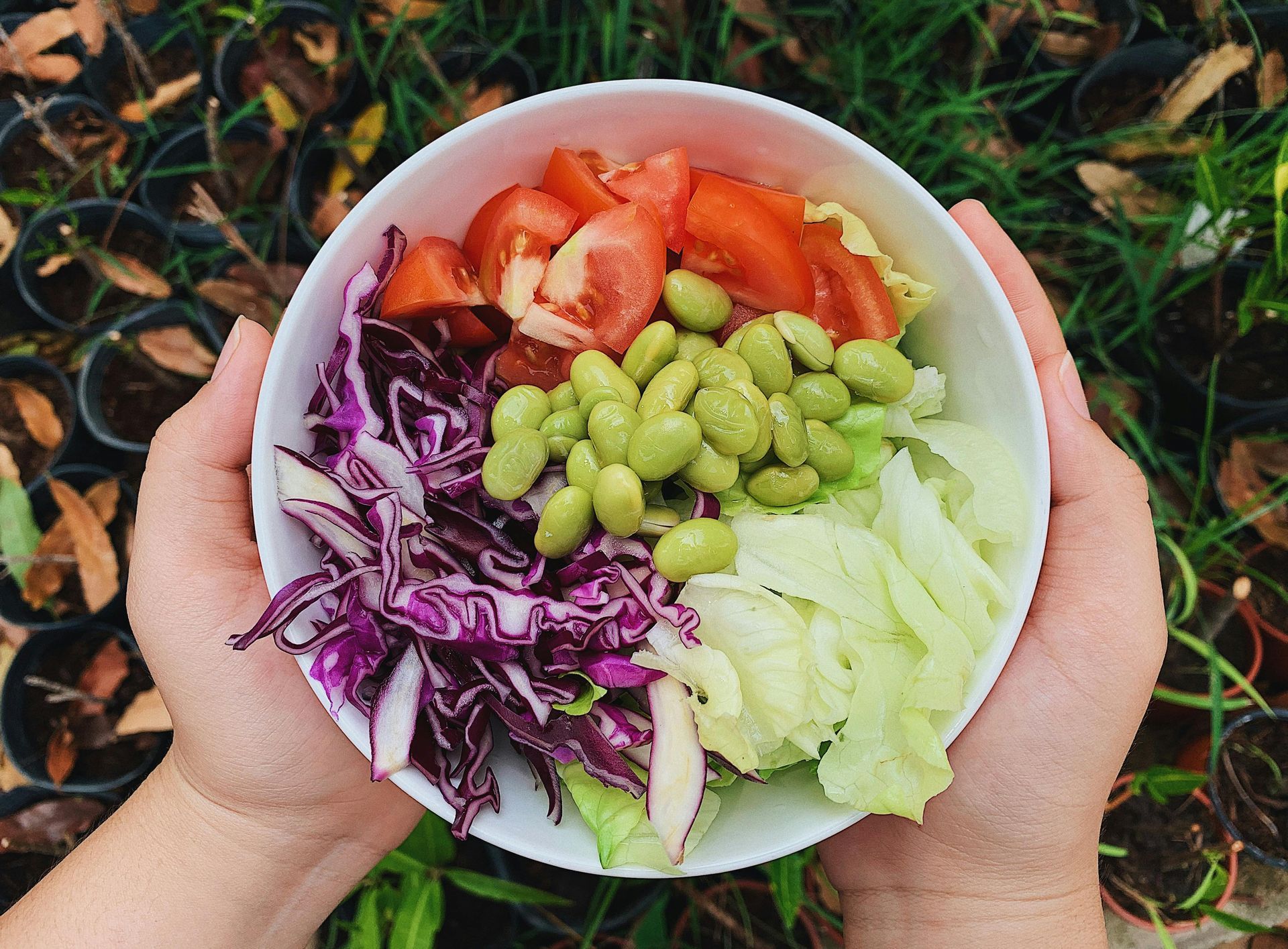 Hands holding a bowl of colorful salad with tomatoes, edamame, cabbage, and lettuce outdoors on grass