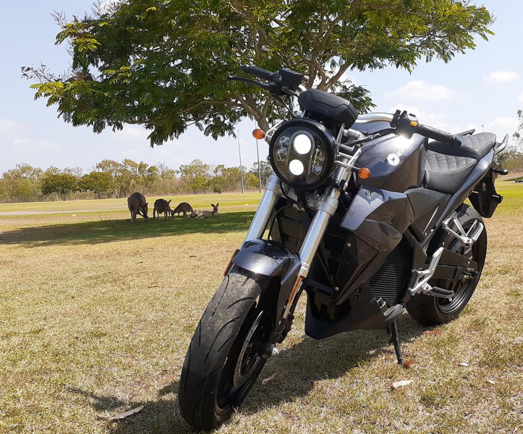 A motorcycle is parked in a grassy field in front of a tree.