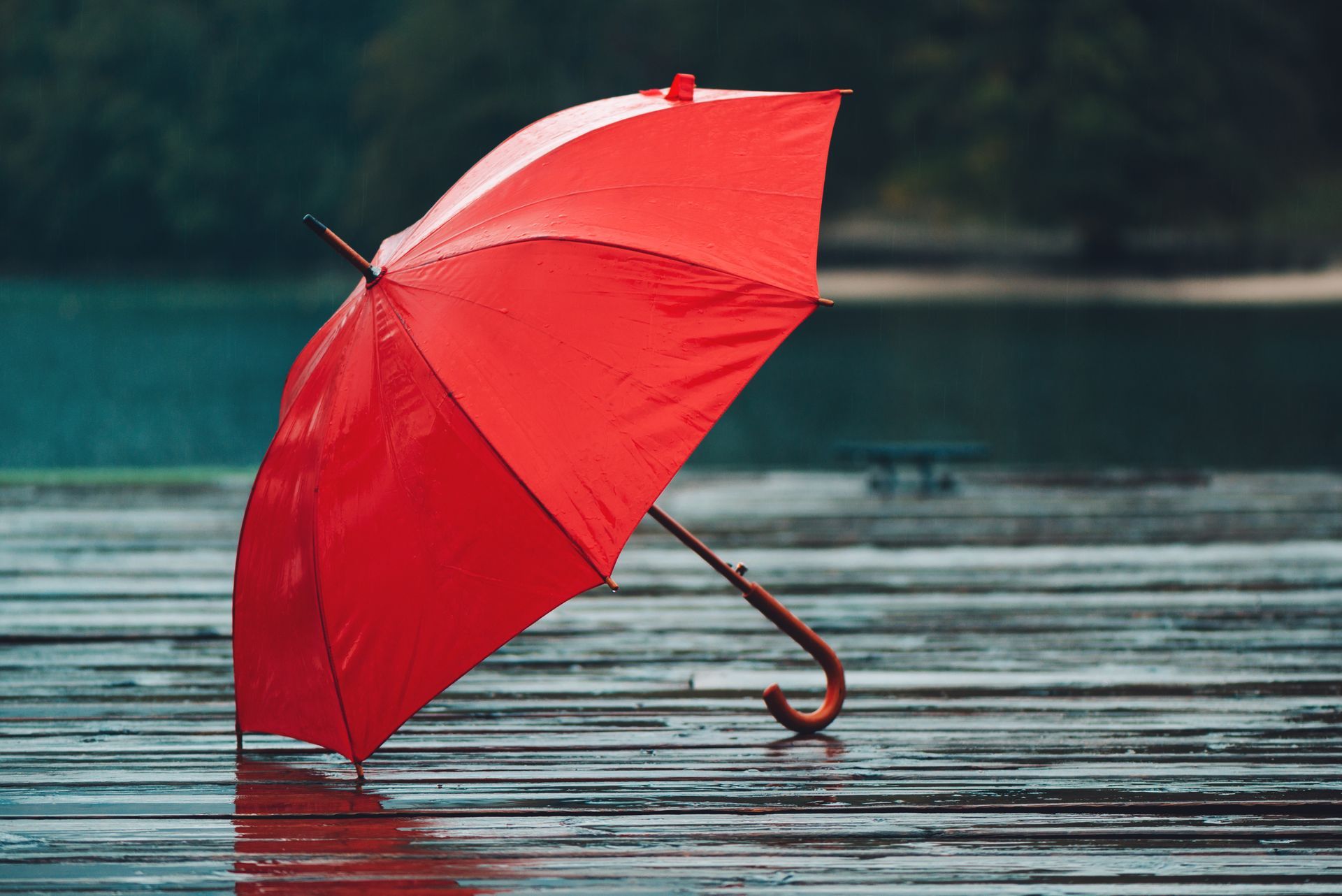 Red umbrella on a wet wooden dock, with a lake and blurred trees in the background.
