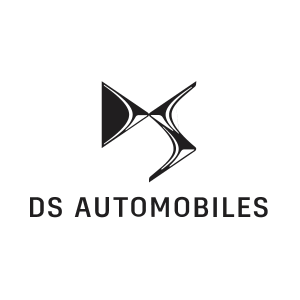 ds logo