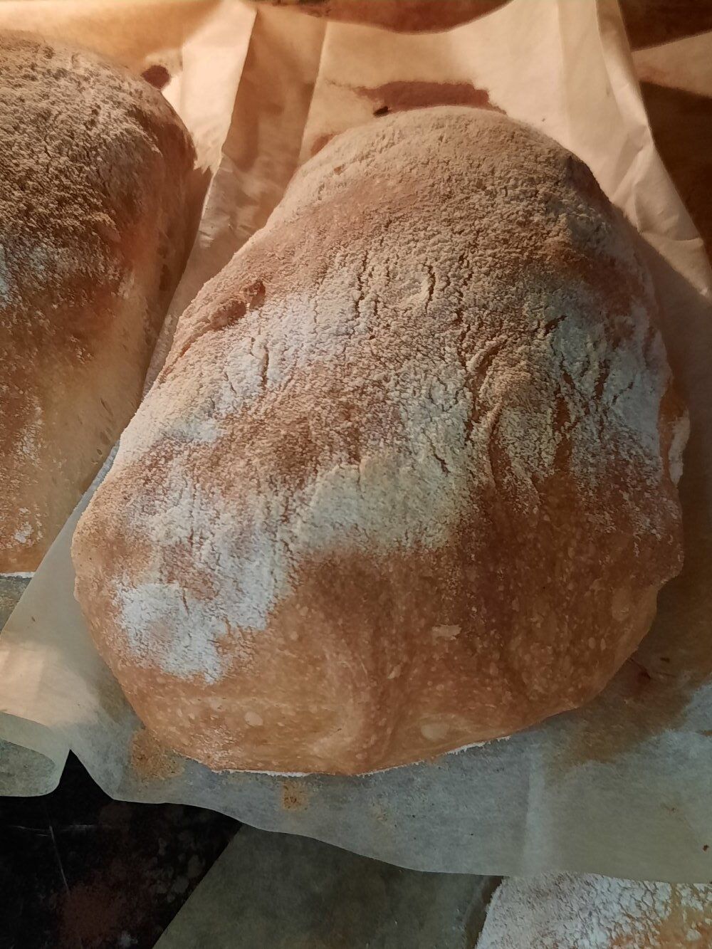 ciabatta