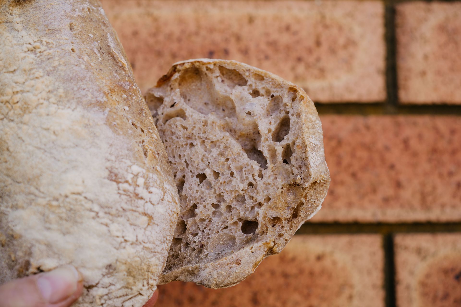 Ciabatta