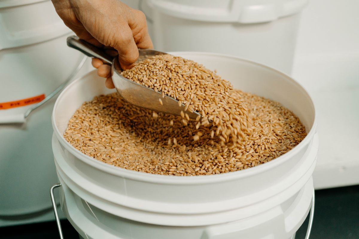 almond meal