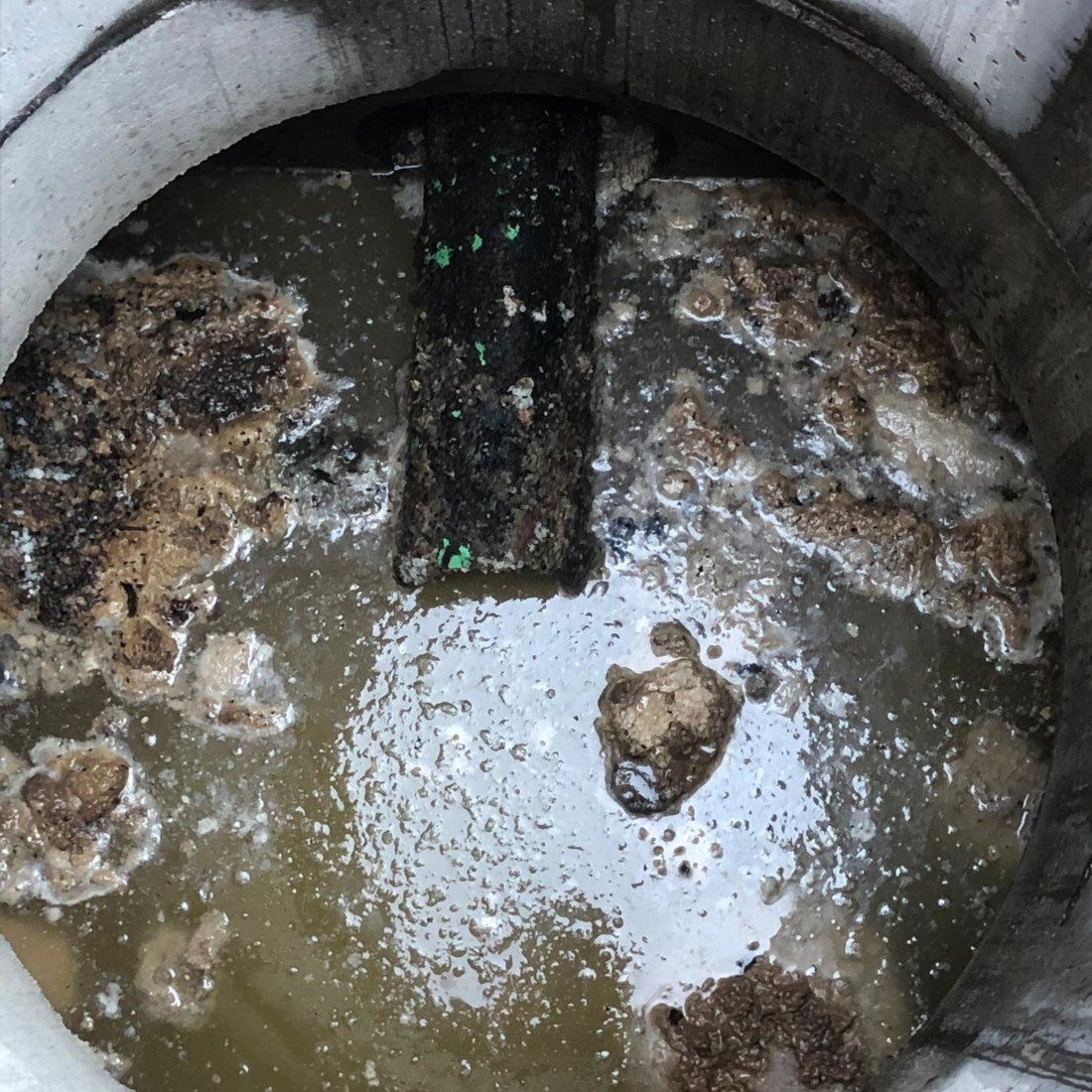 Septic System Maintenance