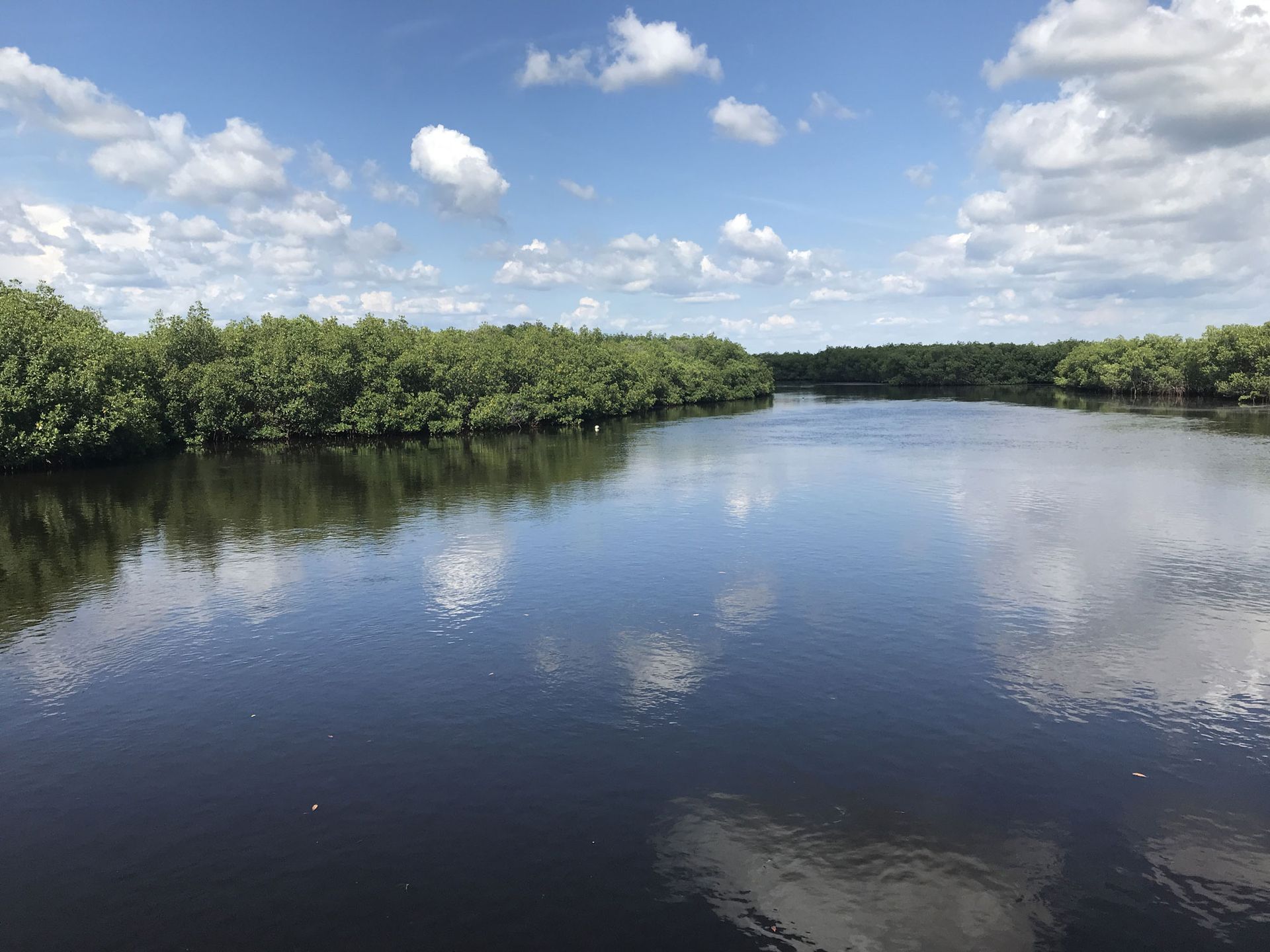 Home PritchettMoore Property Management Tuscaloosa, AL