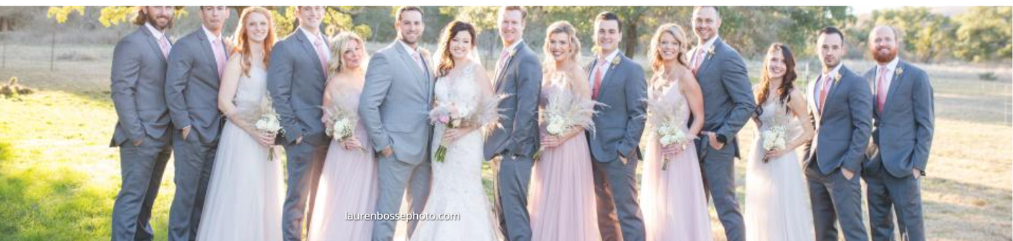 Wedding party posing outdoors in formal suits and pastel dresses at sunset