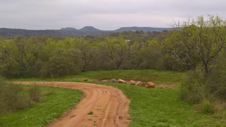 Dirt road winding through green savanna toward distant hills under an overcast sky