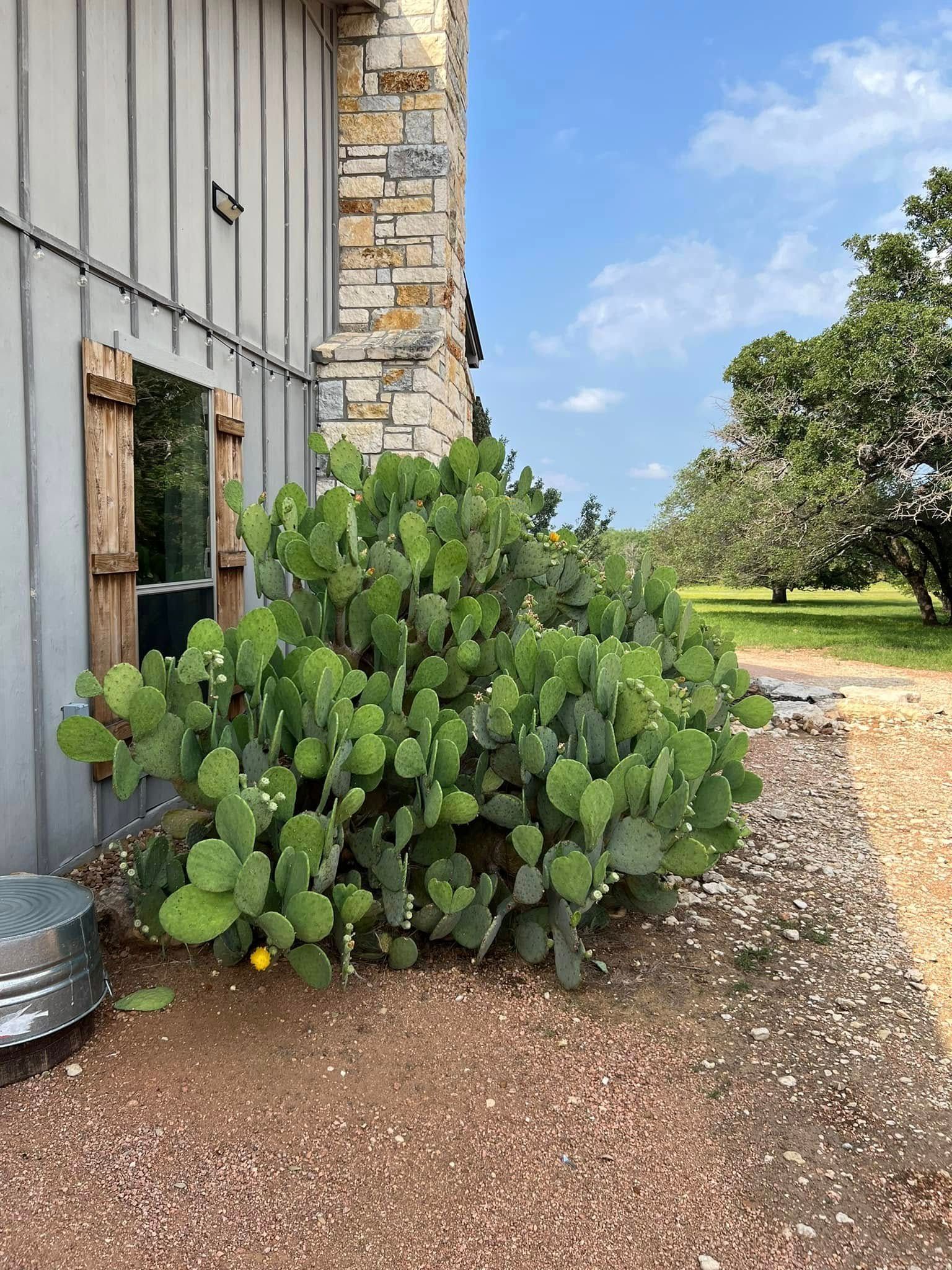 Gray house exterior with stone chimney, open doorway, desert landscaping, and dirt driveway