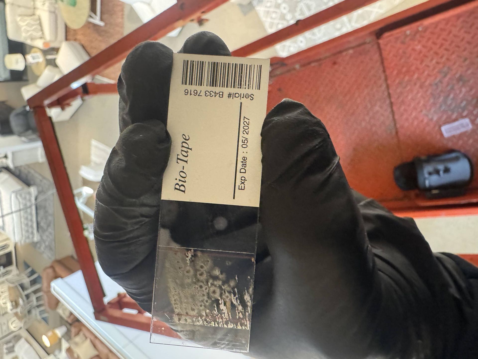 Mold Testing