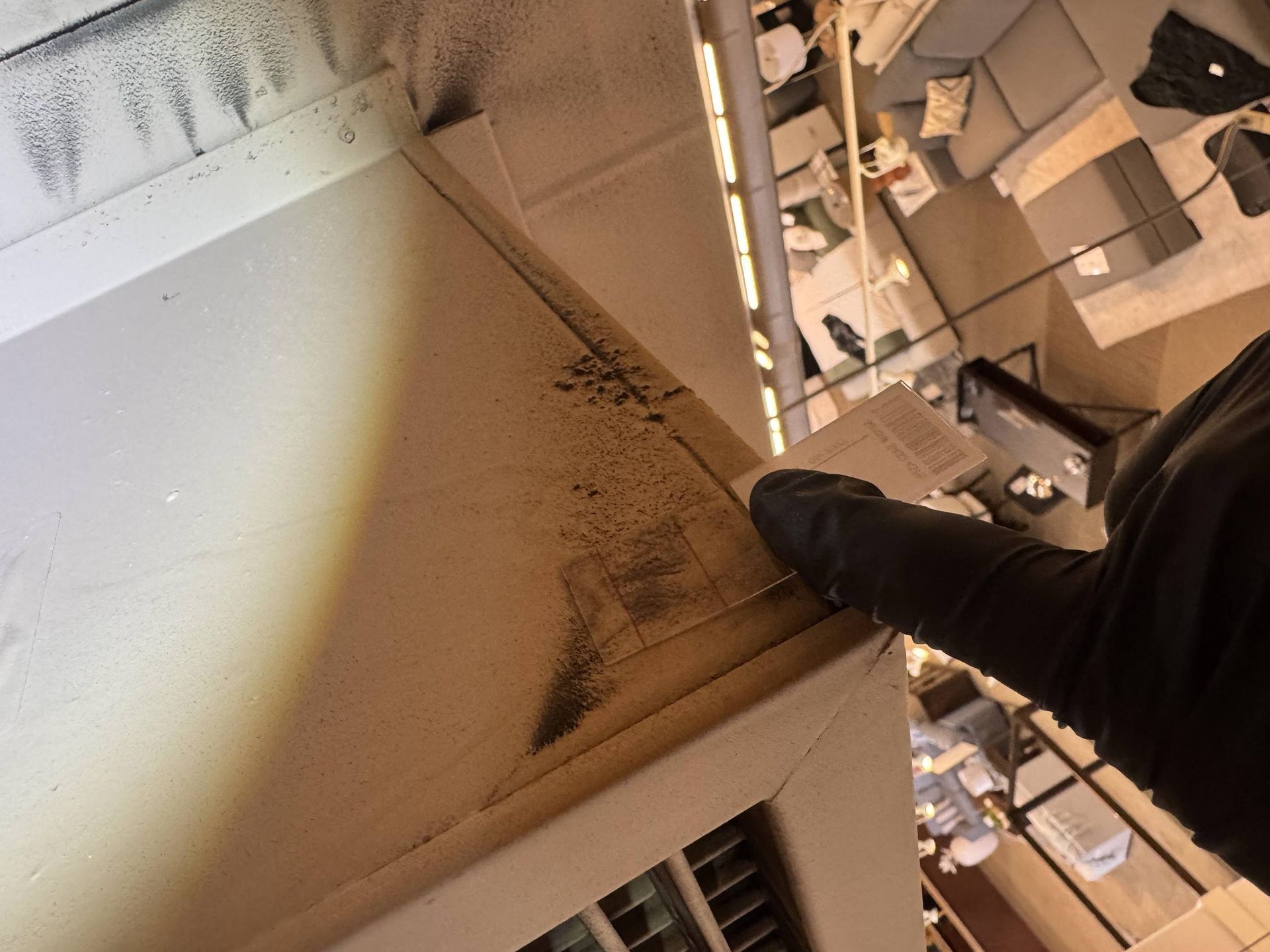 Mold Inspection