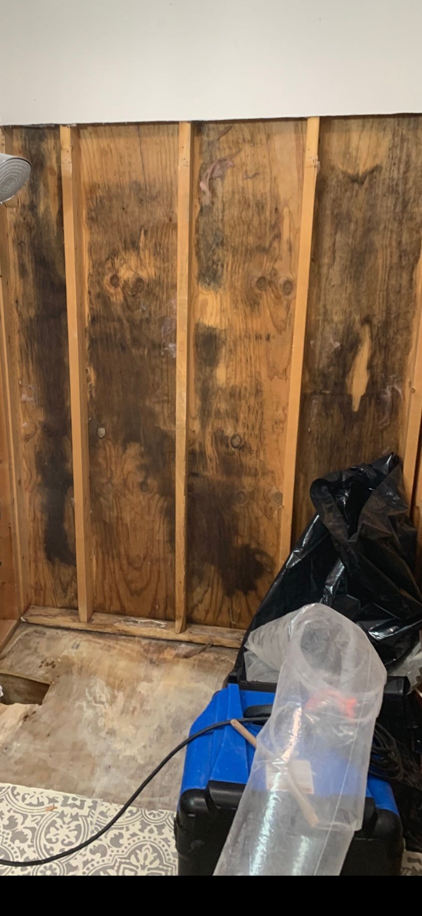Mold Prevention