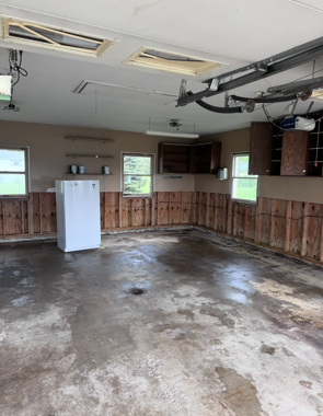 Mold Removal & Mitigation