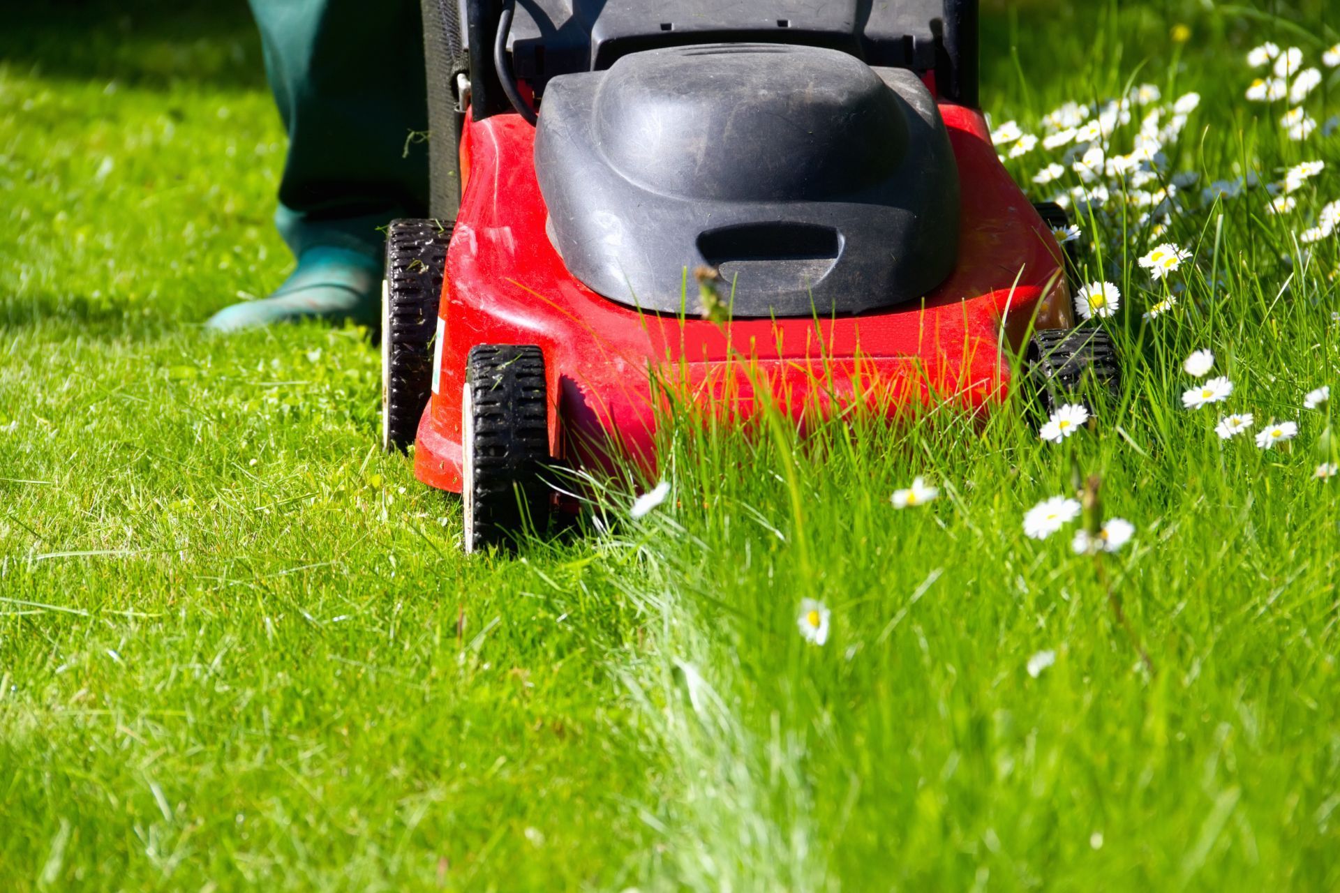 Red lawn mower trimming vibrant green grass in Athens, GA garden.