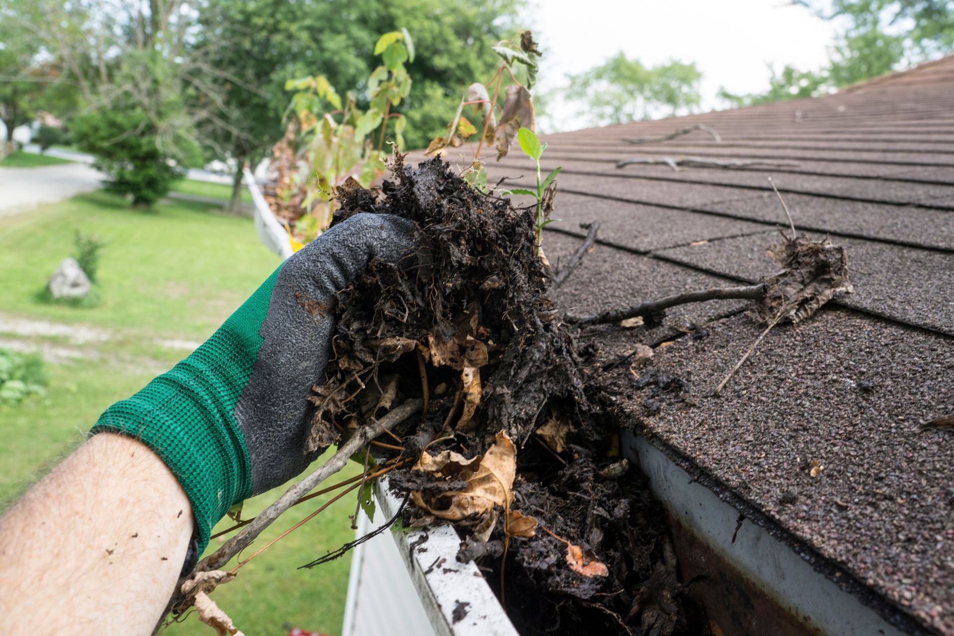 Professional Gutter Cleaning Removing Debris in Athens, GA Home.
