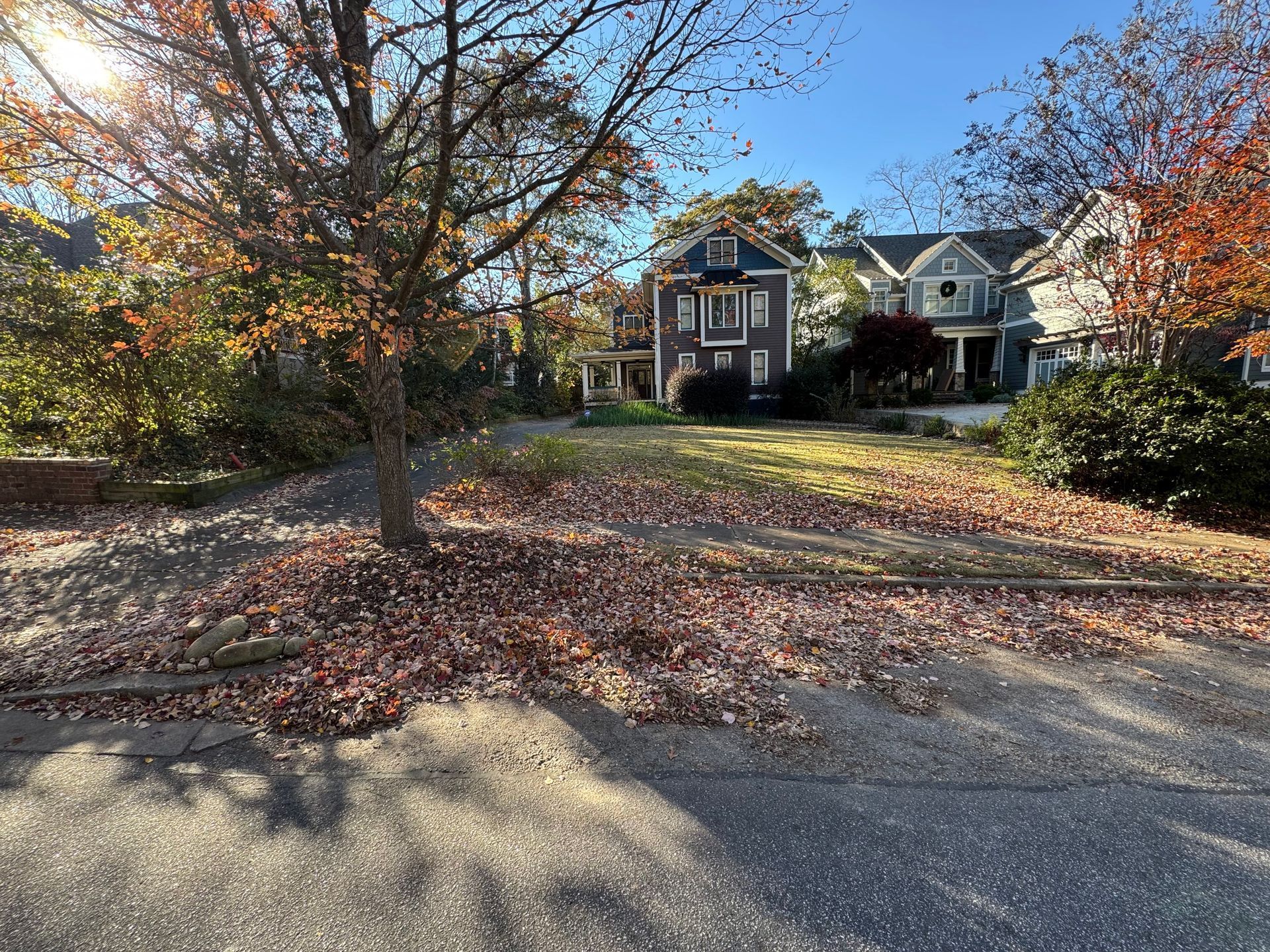 Efficient fall cleanup ensuring pristine lawns throughout the autumn season.