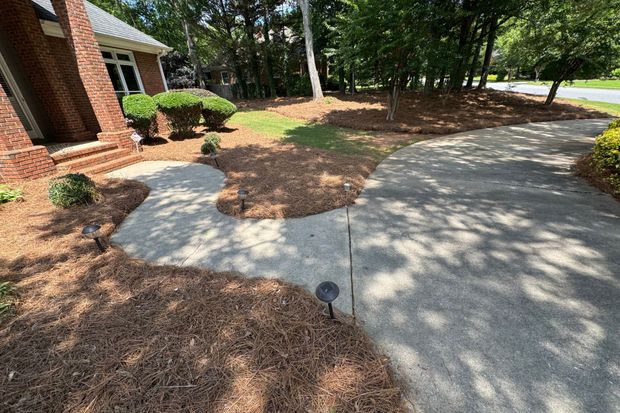 Neat garden with new Pine Straw installed by Dead Silent Lawn Care.