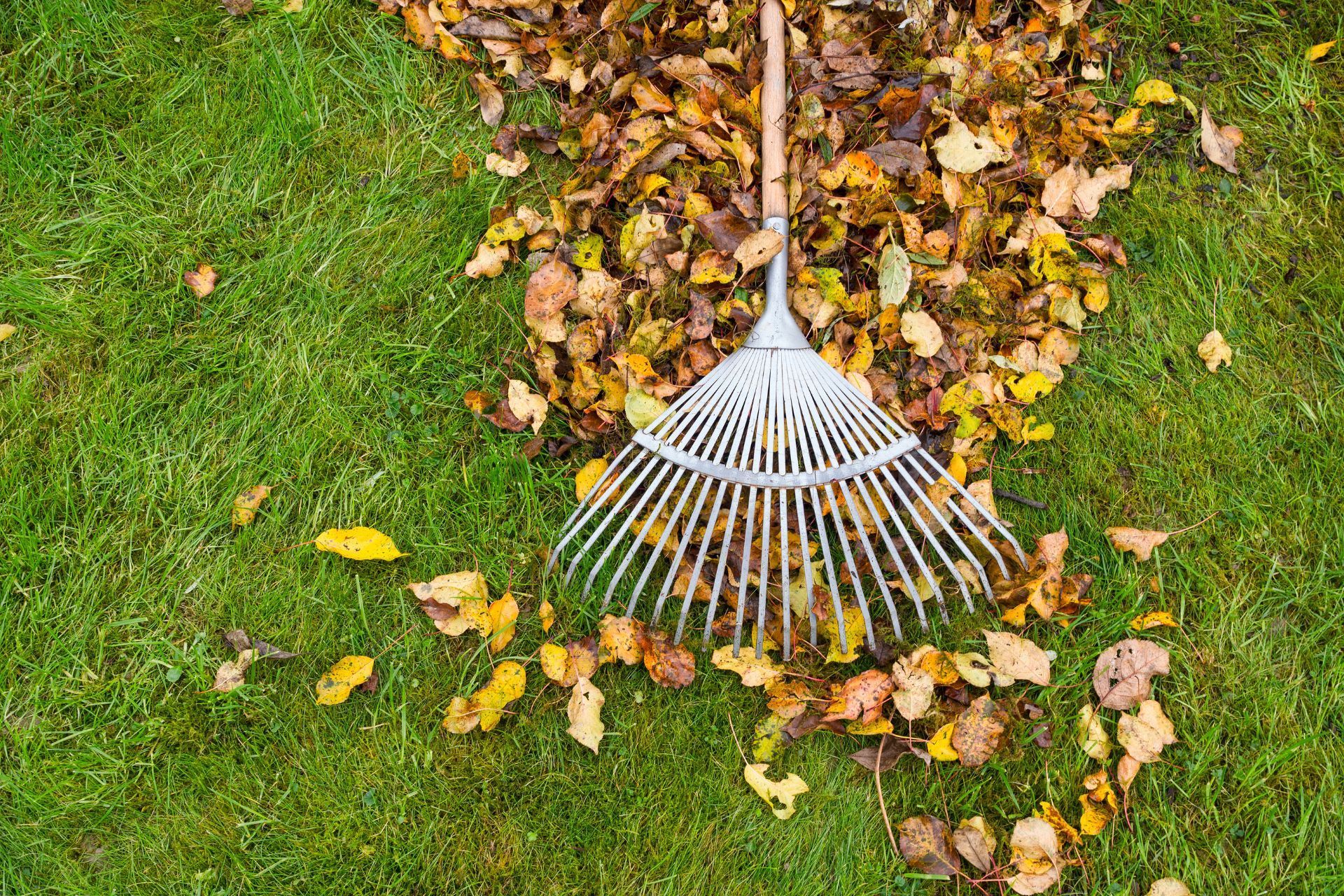 Fall lawn care with rake and leaves in Athens, GA.