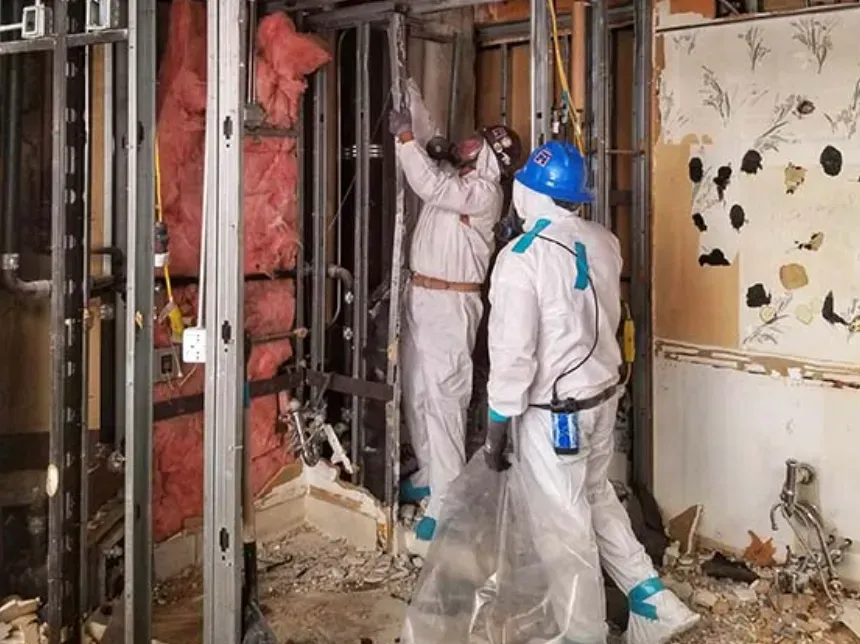 Asbestos Clean-Up Services in Pasadena Asbestos Clean Up in Pasadena