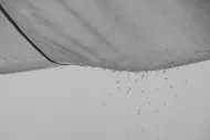 Water Damage