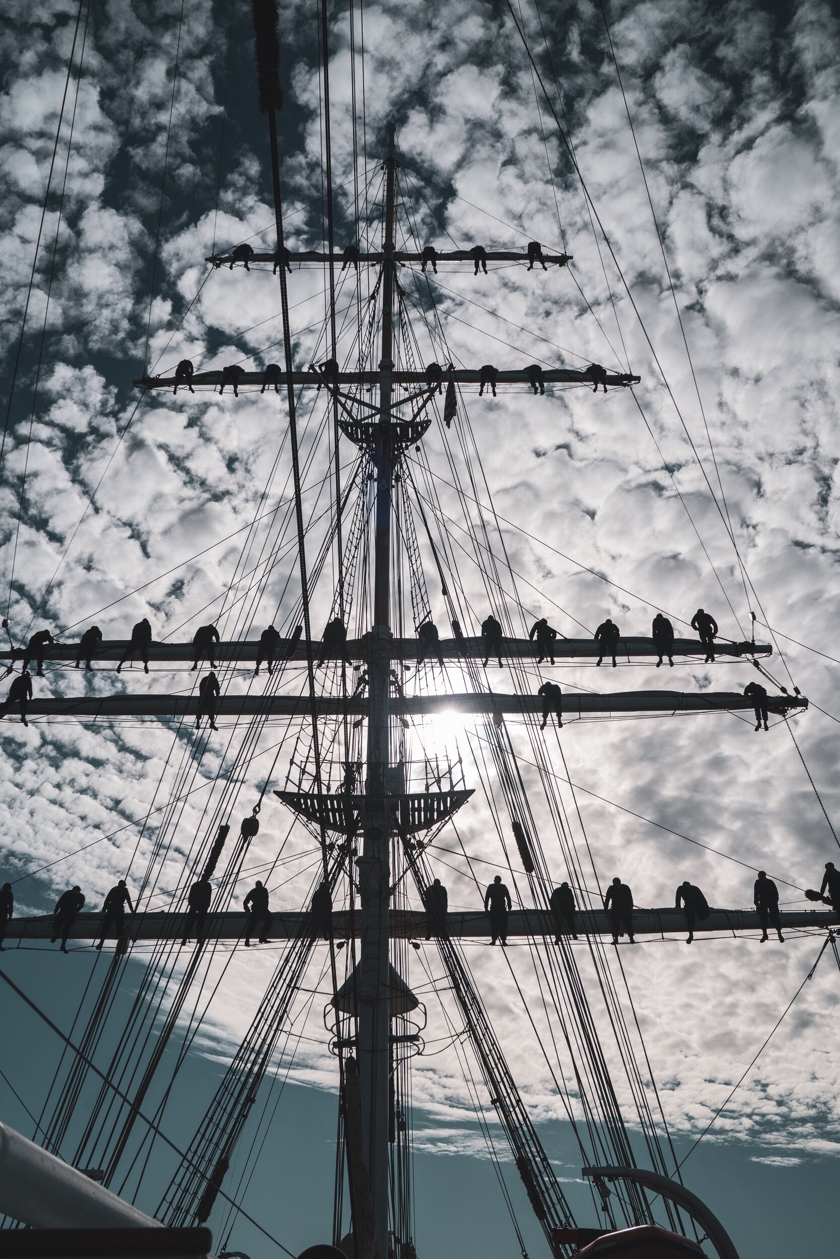 Several birds are perched on the mast of a ship