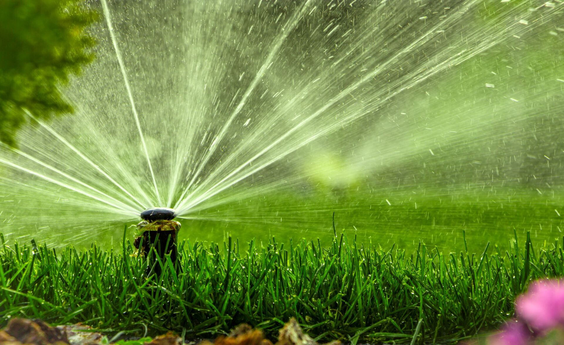 IRRIGAZIONE