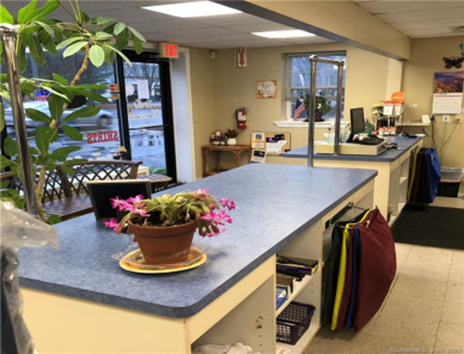Dog grooming salon with a blue counter, potted plant, and door to the outside.