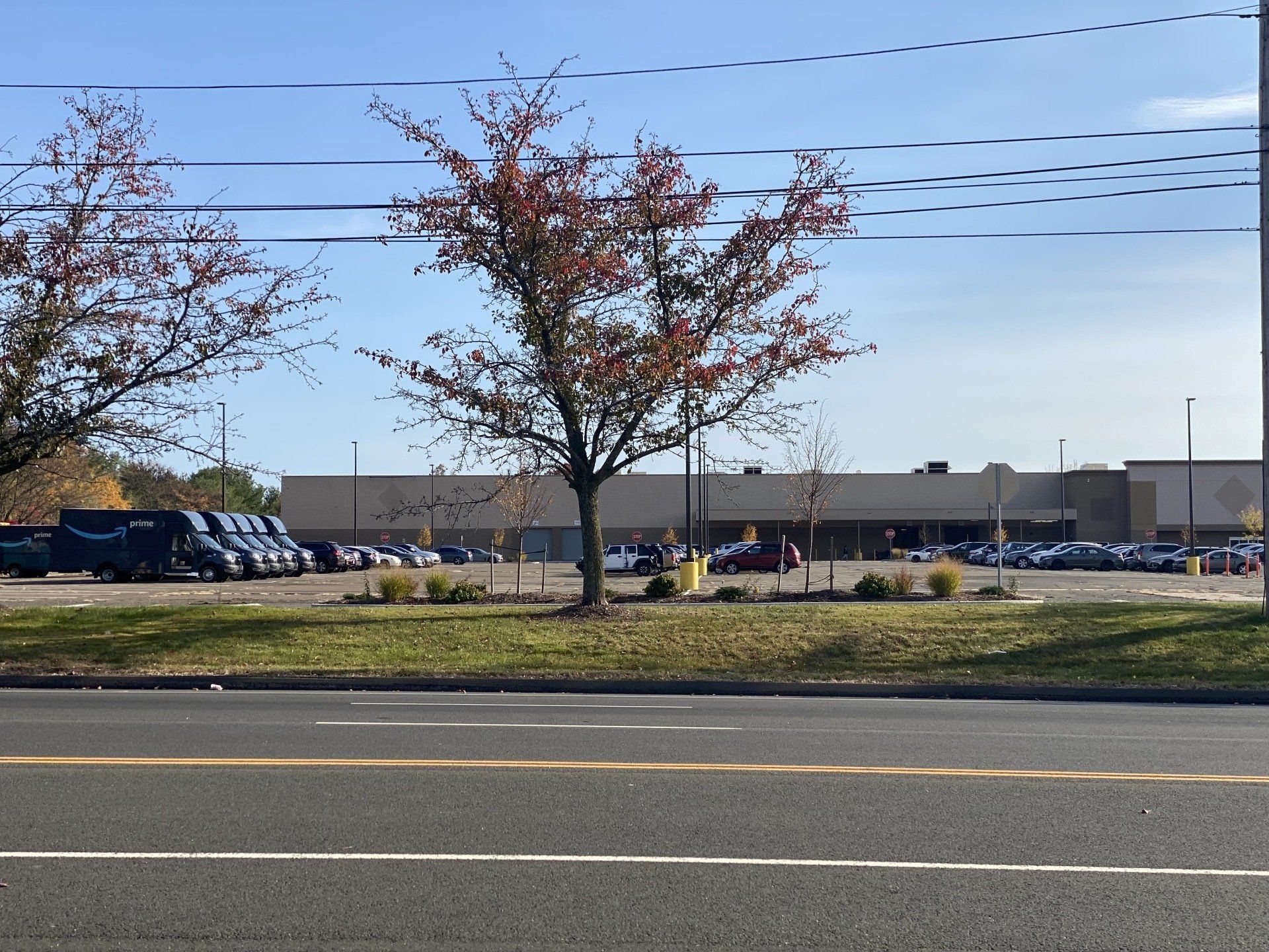 A retail store with a parking lot and trees; seen from across the street.