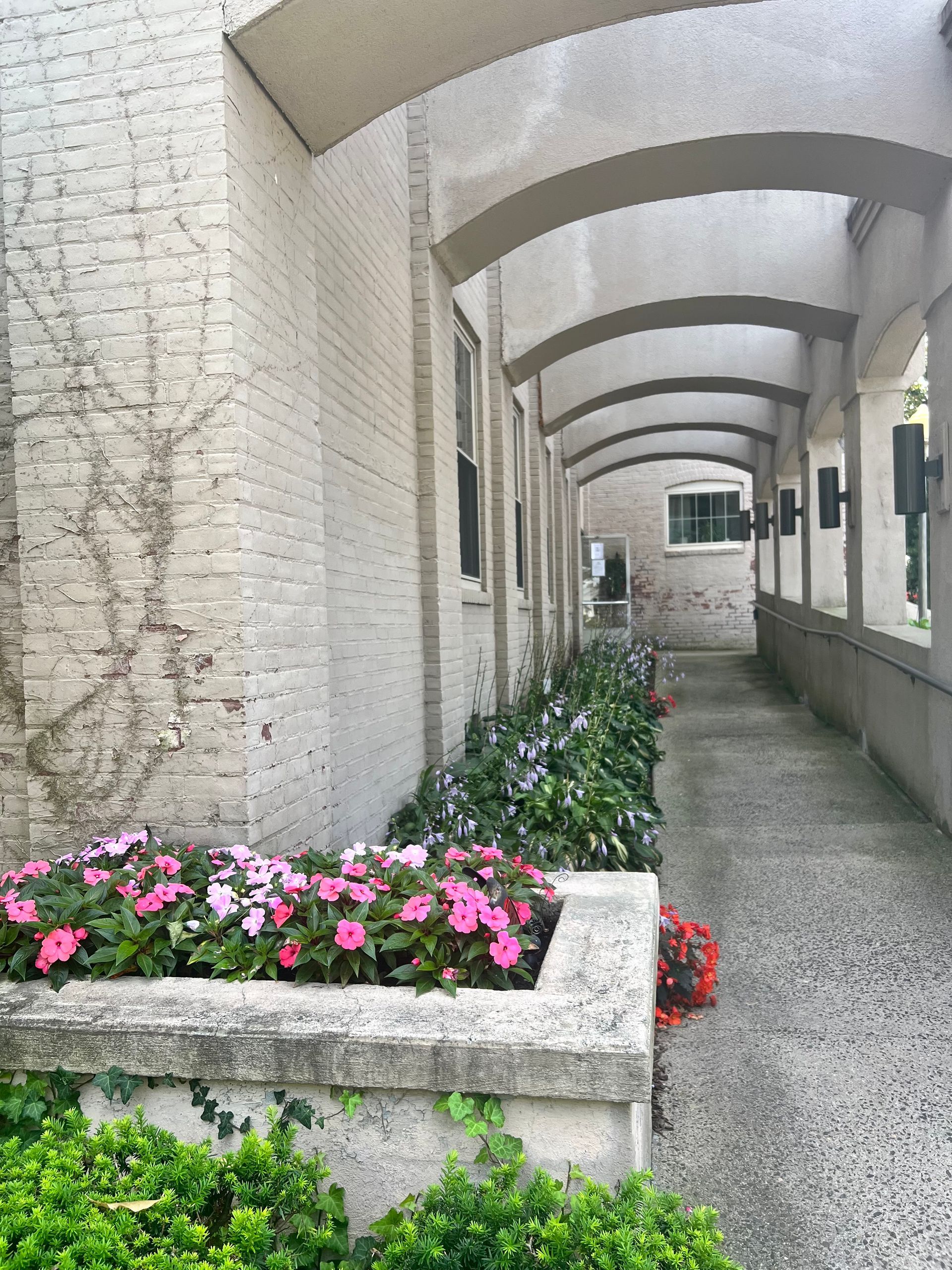 Exterior walkway with arched overhead supports, bordered by flowerbeds and a brick wall.