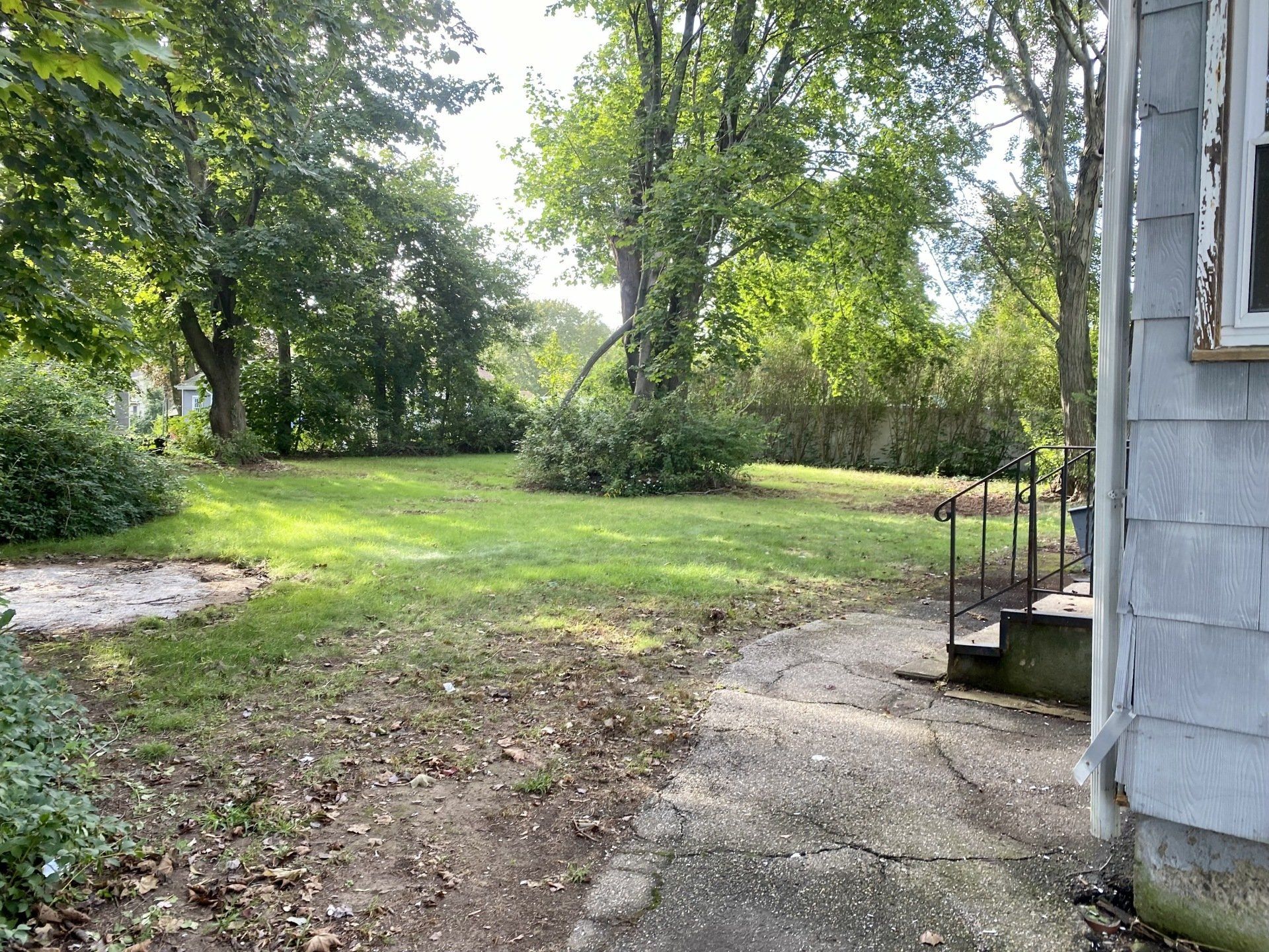 Grassy backyard with trees. Gray house siding on the right. Overcast sky, sunny patches.