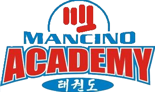 A logo for Mancino Academy with a fist in the middle. Mancino Academy Martial Arts