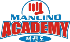 A logo for Mancino Academy with a fist in the middle. Mancino Academy Martial Arts