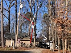 Tree-trimming truck lifting a worker basket beside a house in a wooded yard
