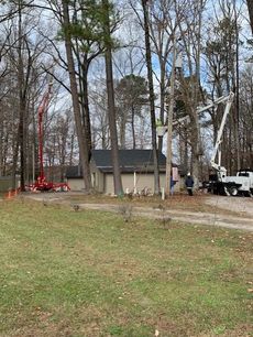Tree-lined yard with a small house, utility truck, and workers near the driveway
