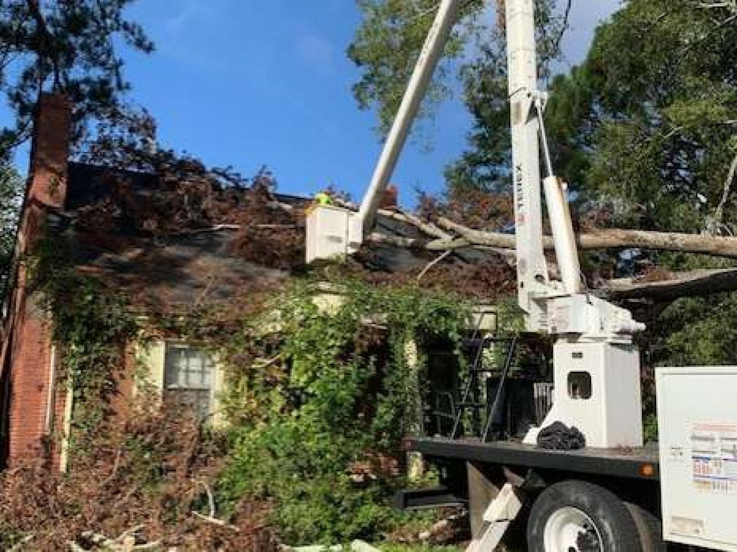 Worker in bucket lift trimming ivy on a brick house with a damaged roof and fallen tree limbs.