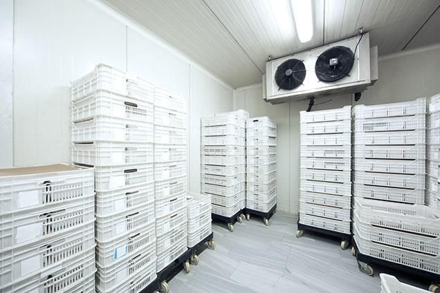 SEAA-Mantenimiento de cuartos fríos SEAA-Mantenimiento de cuartos fríos