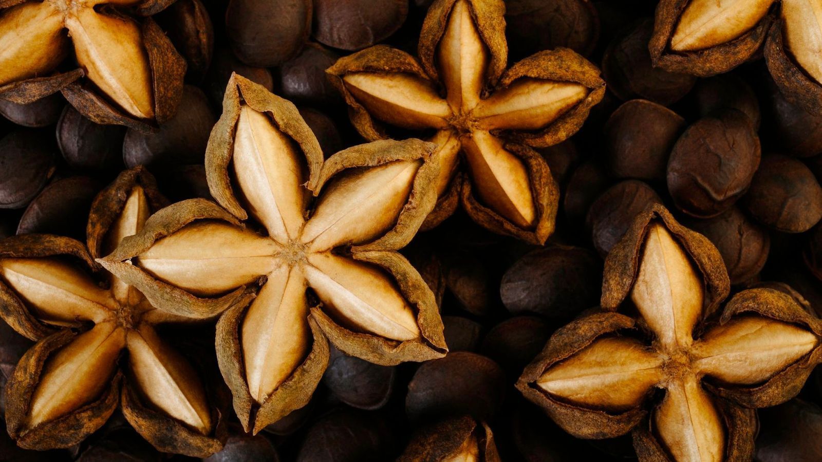 Star anise pods and coffee beans arranged on a dark surface