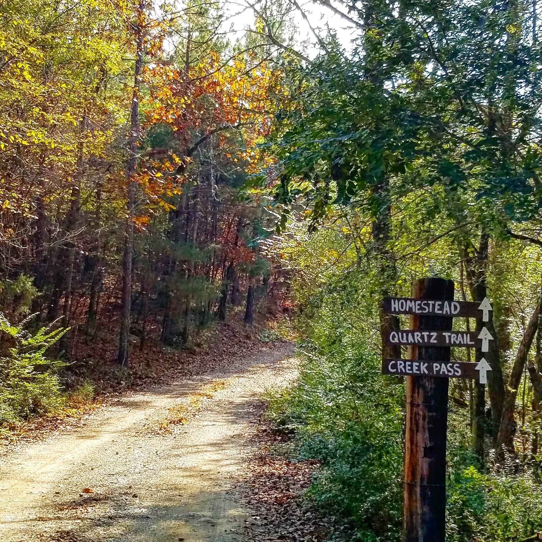 Wooded trail in autumn with a signpost for Homestead, Quartz Trail, and Creek Pass