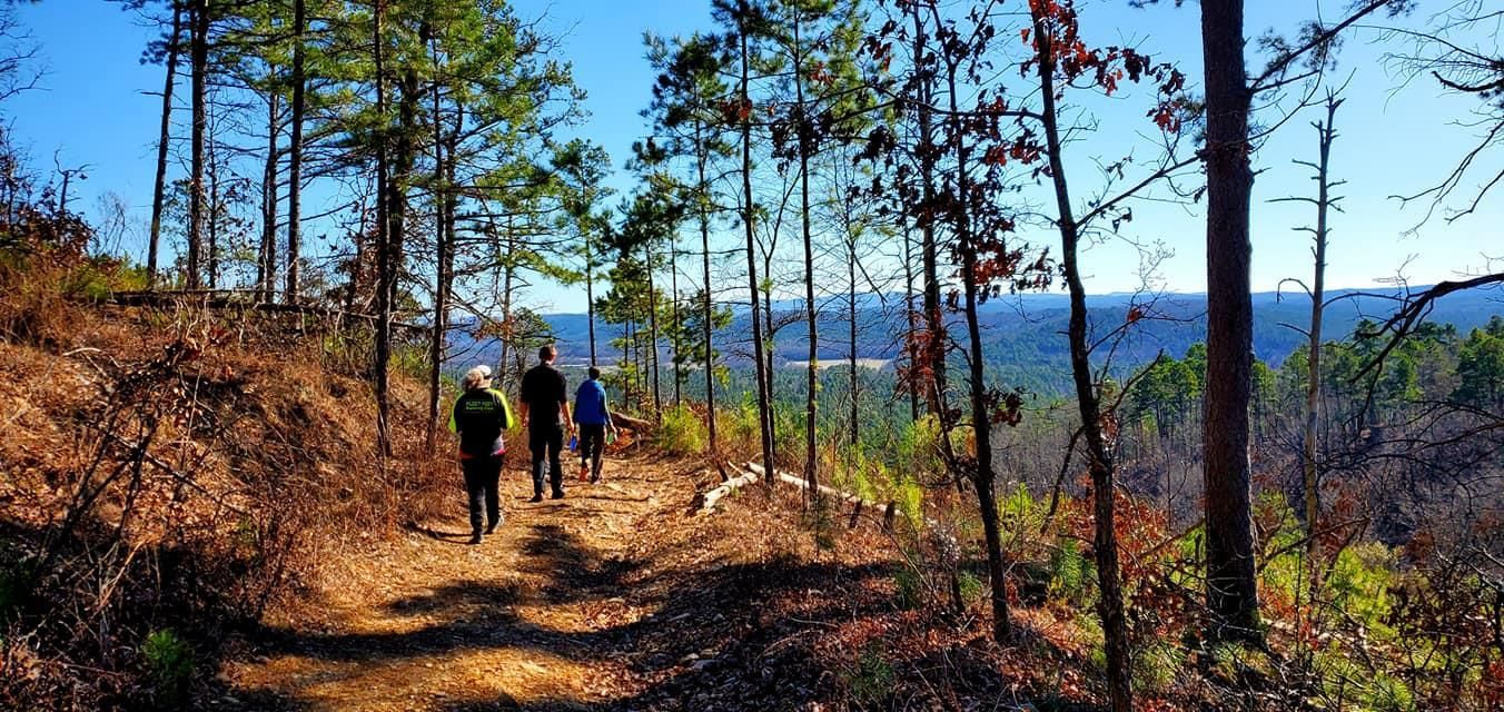 Hikers walking along a sunny forest trail overlooking a blue lake